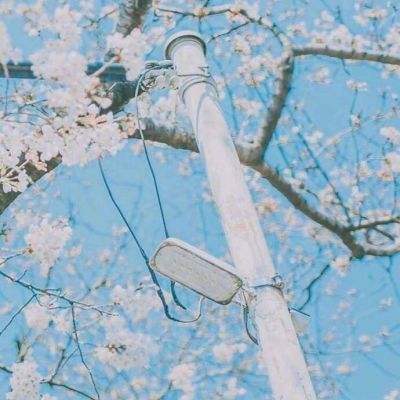 徒手攀爬者游戏下载