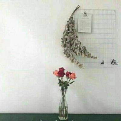 扶摇六界官方下载